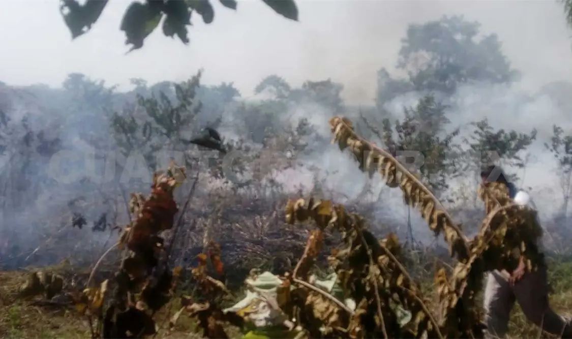 Protección Civil controla incendio de pastizal