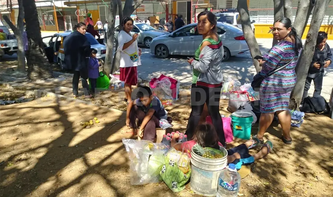 Entregaron más de mil 500 toneladas de alimentos
