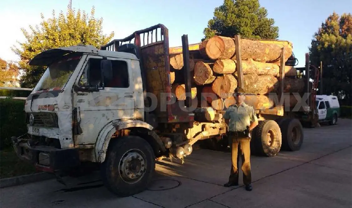 Detienen a hombre por llevar madera clandestinamente