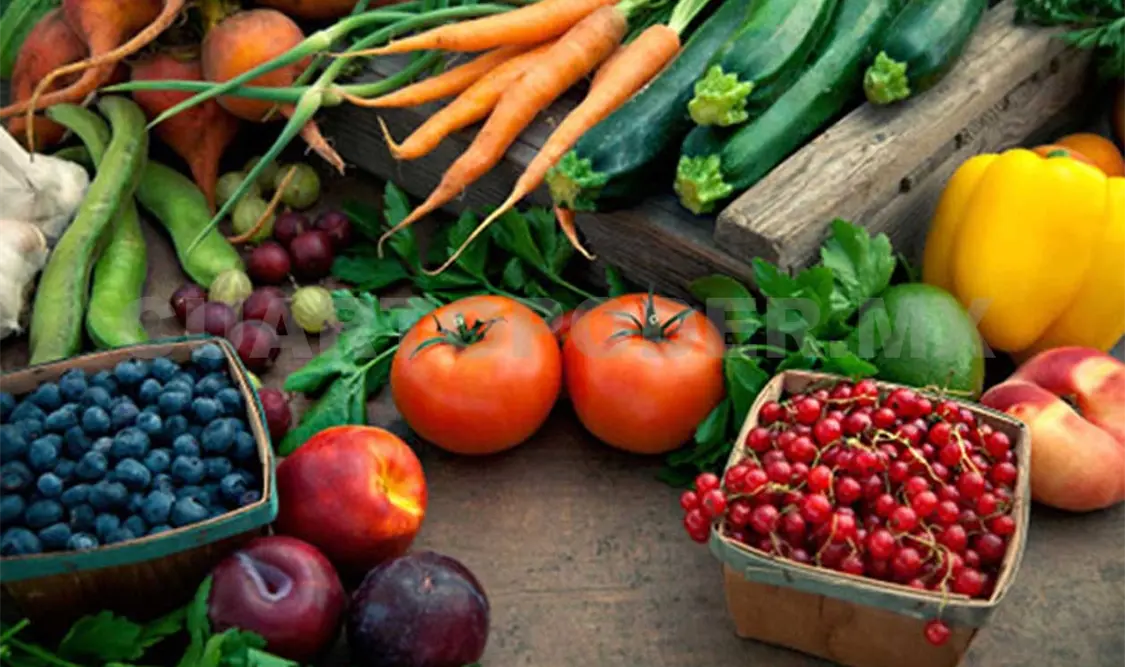 México, cuarto lugar global en la producción de alimentos orgánicos
