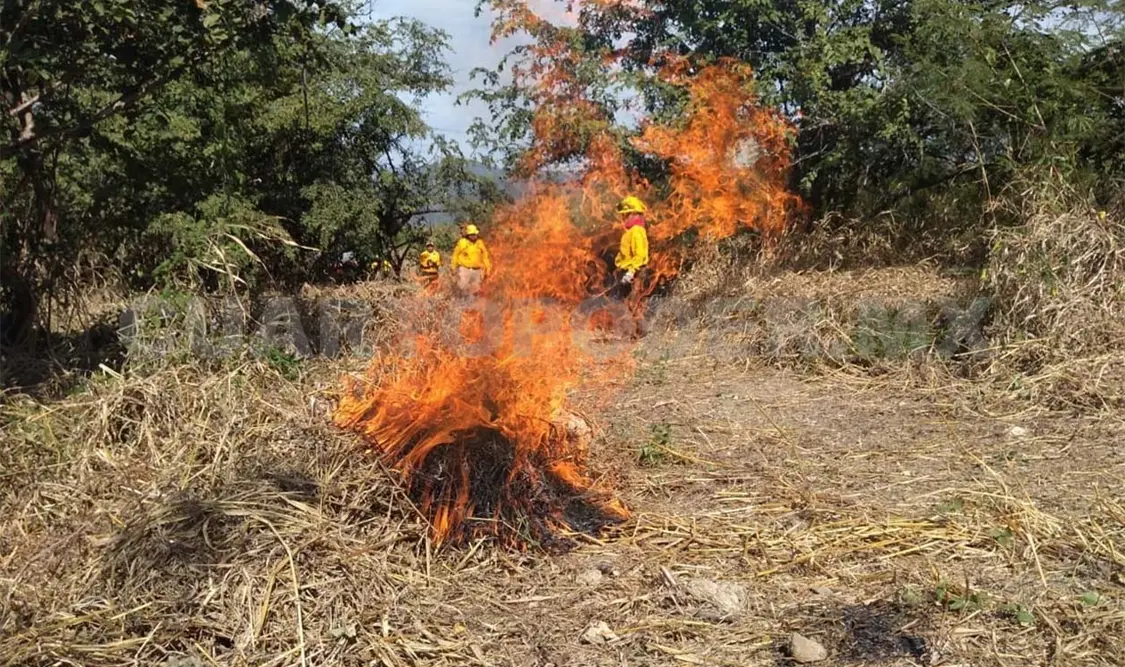 Sanción de 50 mil pesos a quienes provoquen incendios