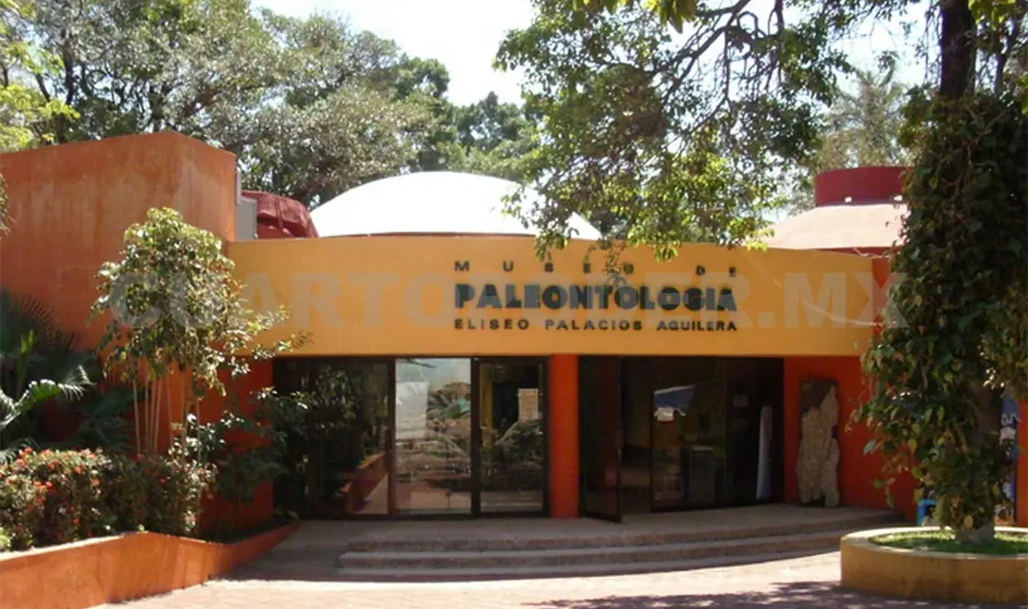 Chiapas cuenta con gran riqueza paleontológica