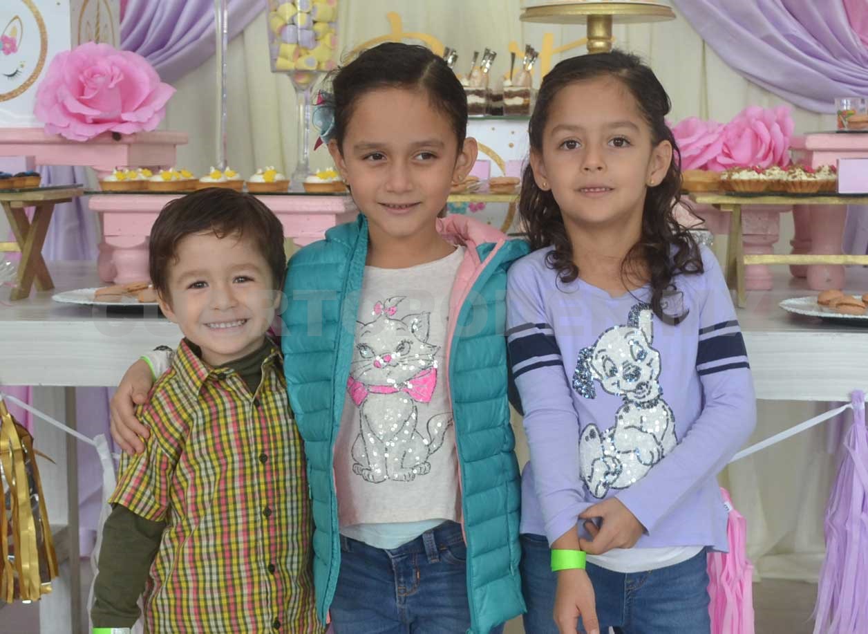 Una fiesta de unicornios