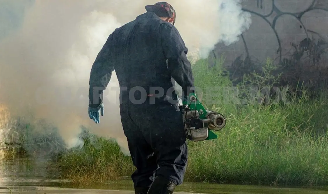 El dengue se propaga de forma masiva rápidamente. Notimex