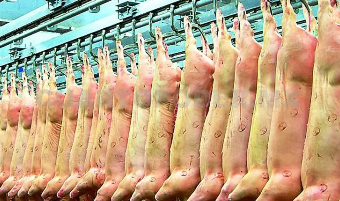 Durante 2018 el sector pecuario se ha preparado para ser competitivo, no sólo a nivel local sino también a nivel regional. CP