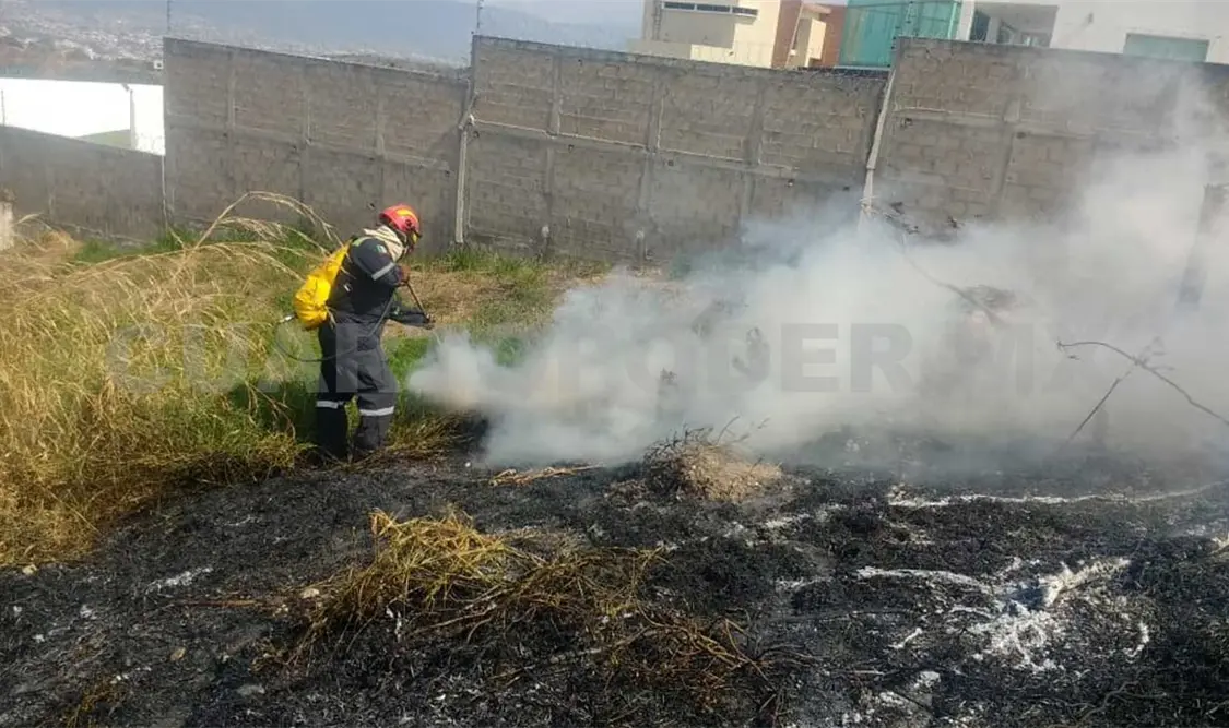 Sin registro de incendios forestales en la capital
