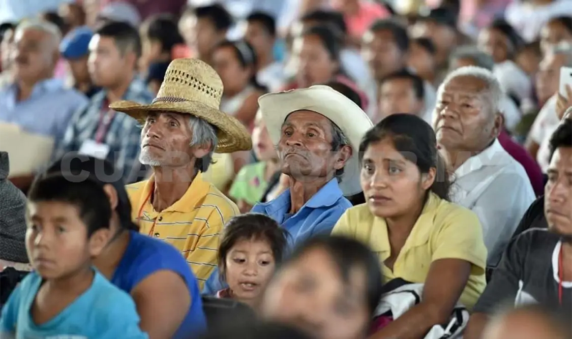 Más de 270 mil adultos mayores reciben apoyo de programa