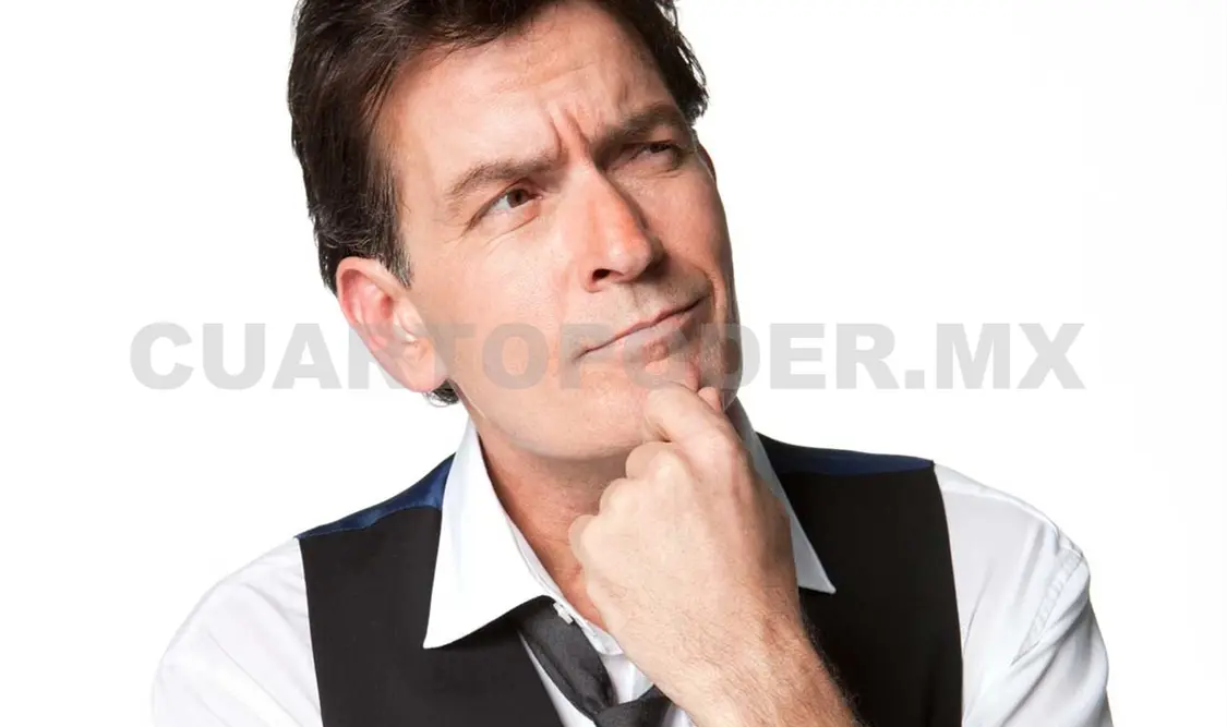 Charlie Sheen festejó su sobriedad