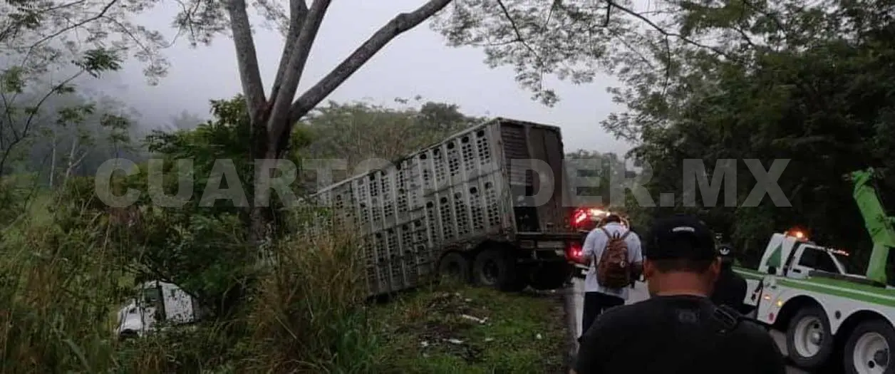 Acelerado trailero se precipita a barranco