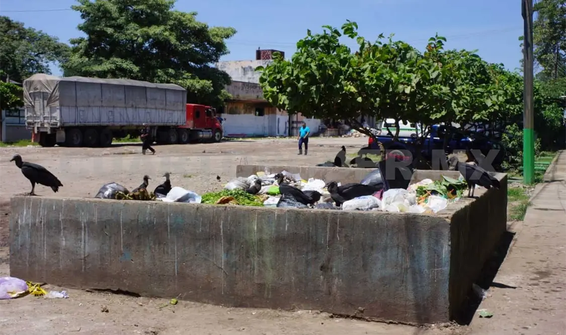 Camiones de basura pasan cada 15 días