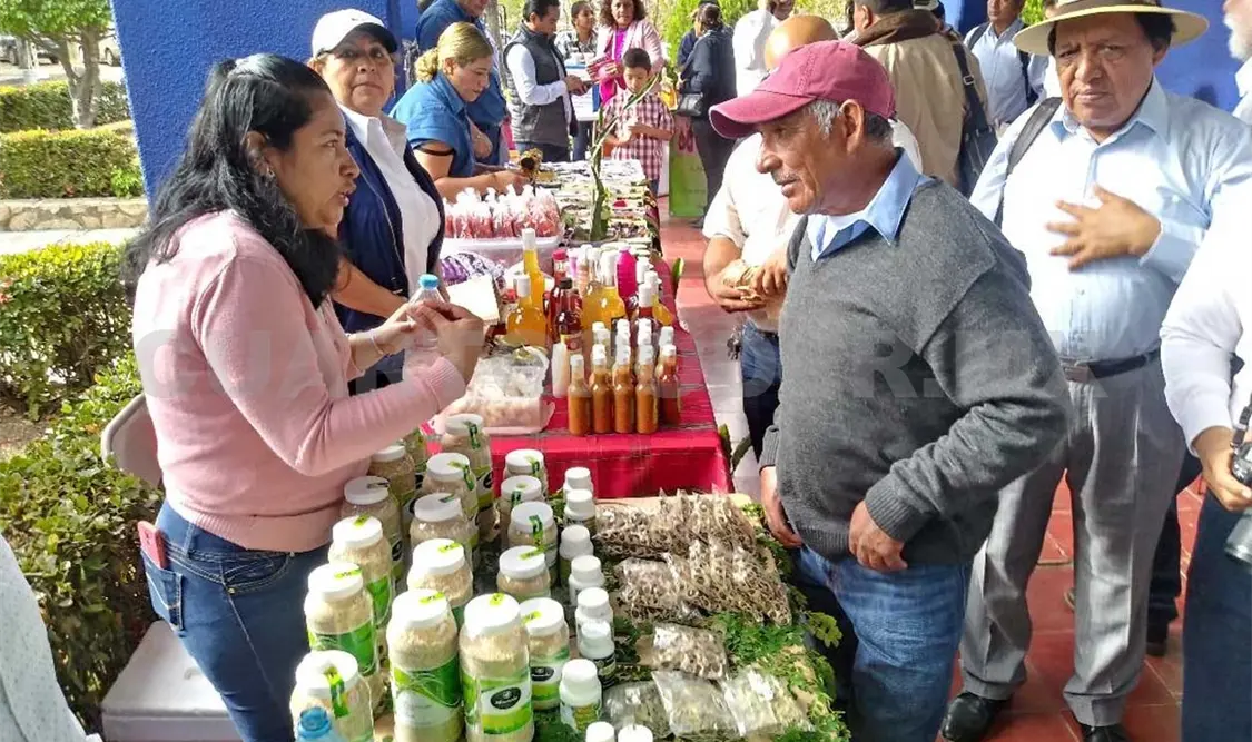 Programas federales, sin reglas de operación