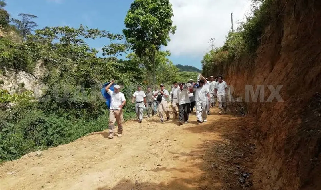 Adulto mayor resulta herido al caer de árbol