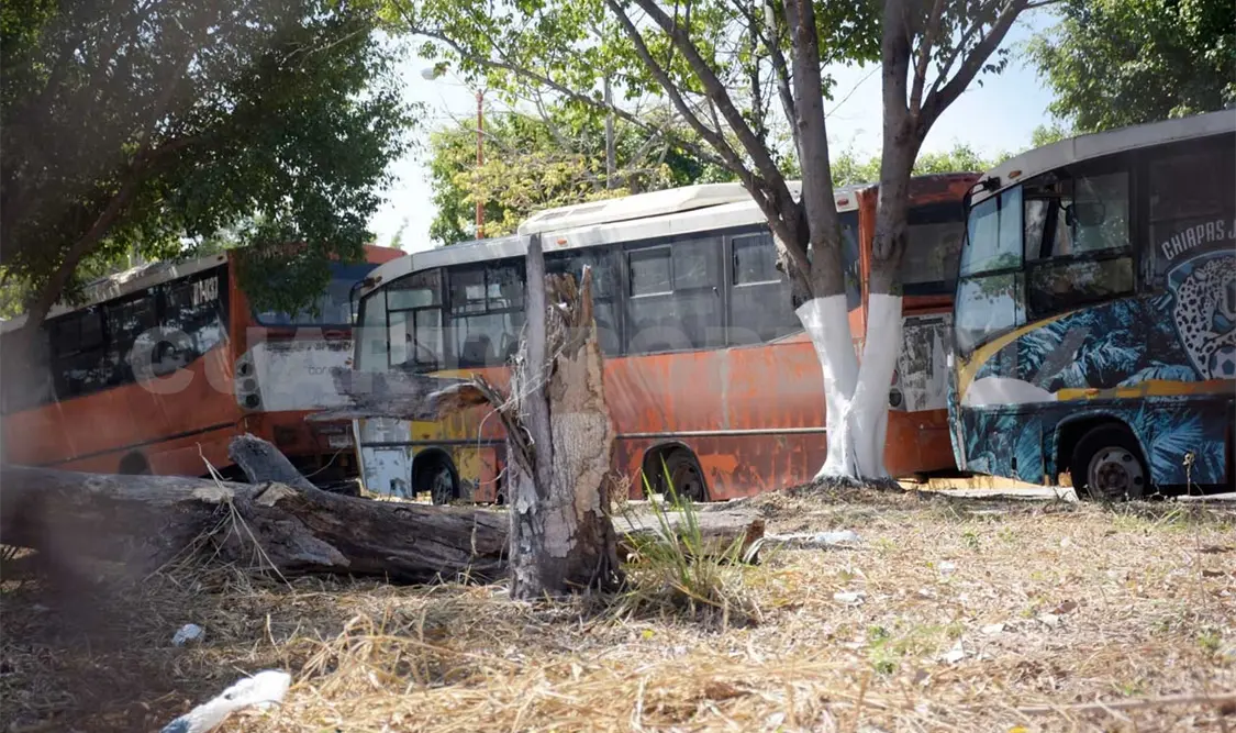 Antiguo aeropuerto usado de cementerio para conejobus