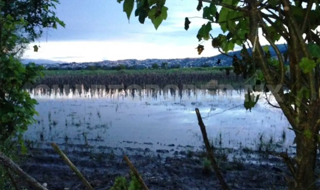 Humedales en peligro de destrucción