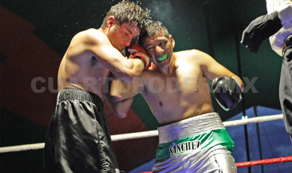 “Maromerito” y “Pulgarcito”, listos para pelear