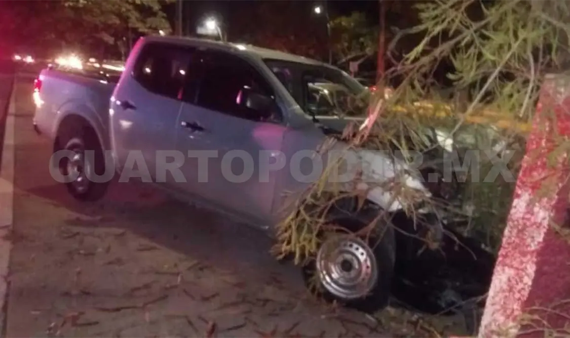 Huía de pistoleros y se estrelló contra un árbol