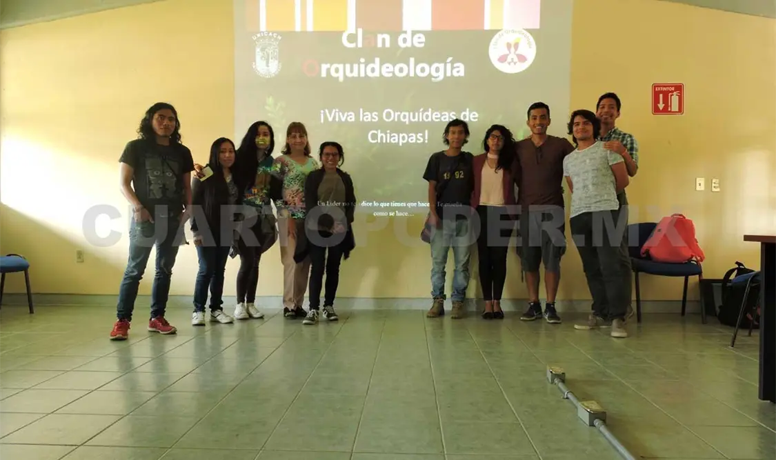 Se reúnen apasionados de las orquídeas