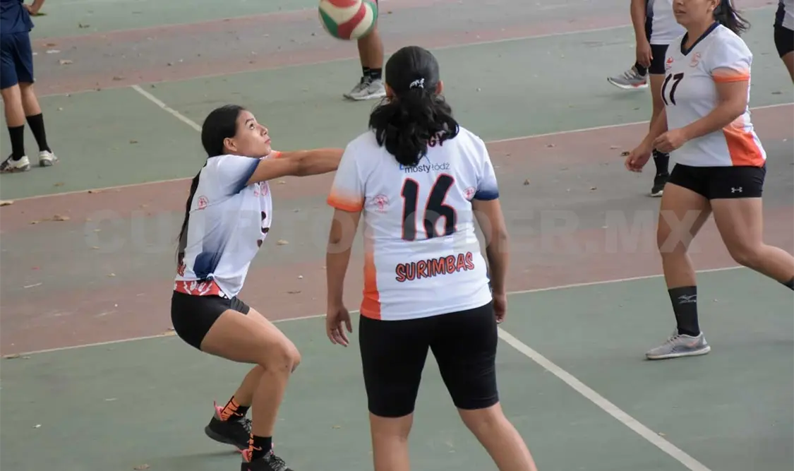 Little Queens y Osumacinta, líderes del certamen