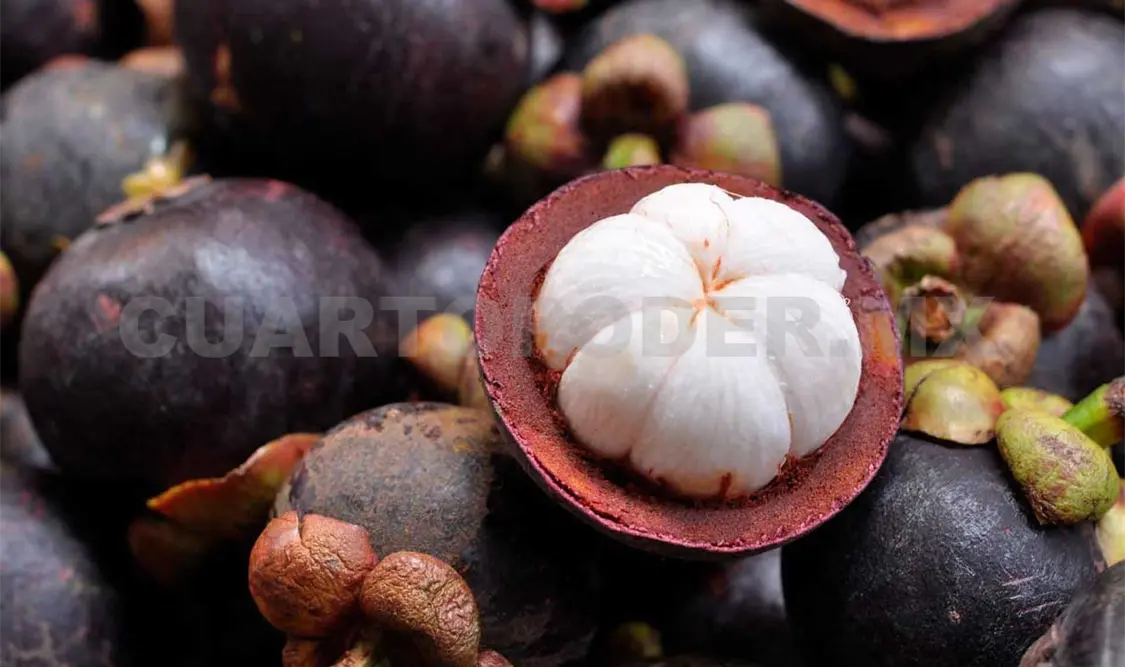 Mangostán colombiano entra de contrabando a México