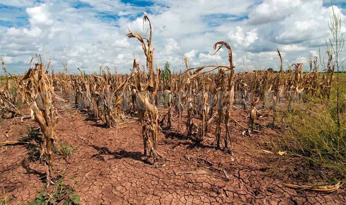 La erosión de suelos impacta seriamente a estados agrícolas  como es el caso de Chiapas. CP
