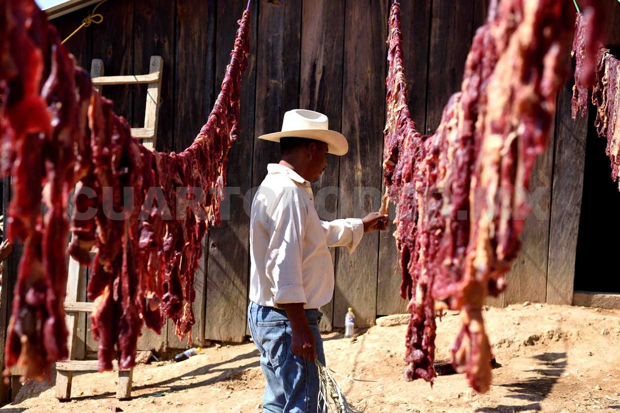 Como deshidratar carne de res 