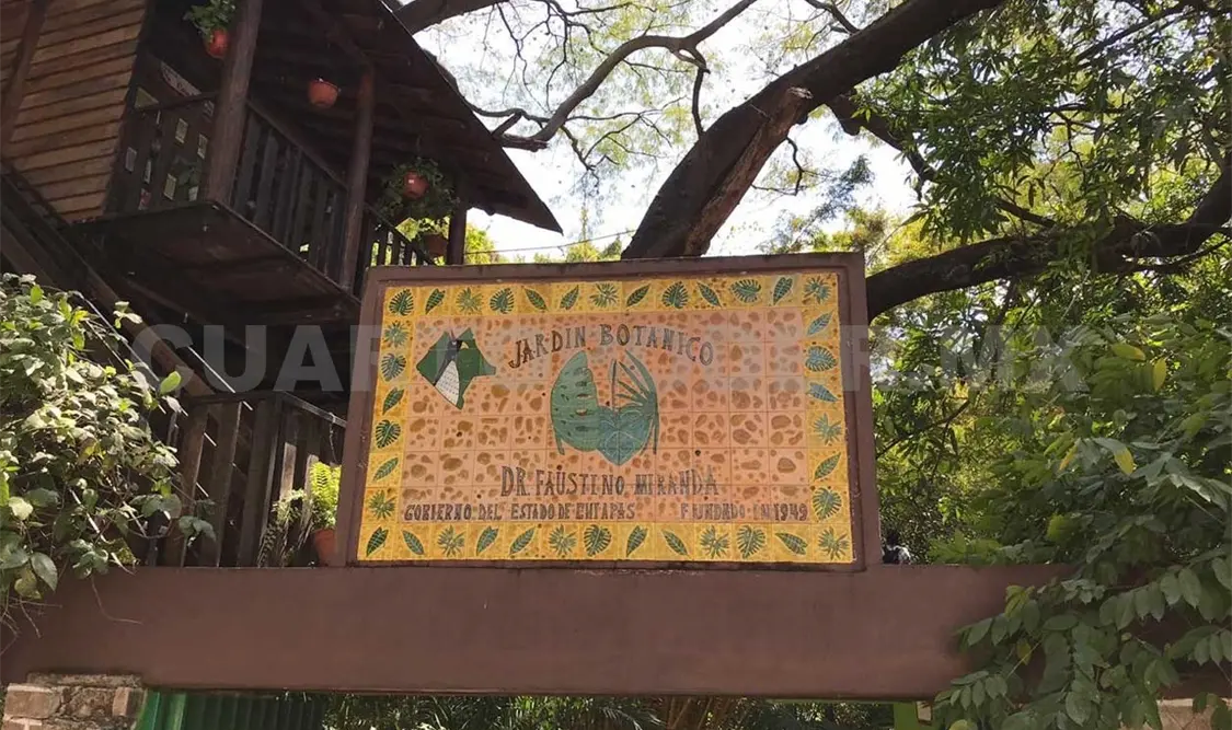 Jardín Botánico celebrará 70 años