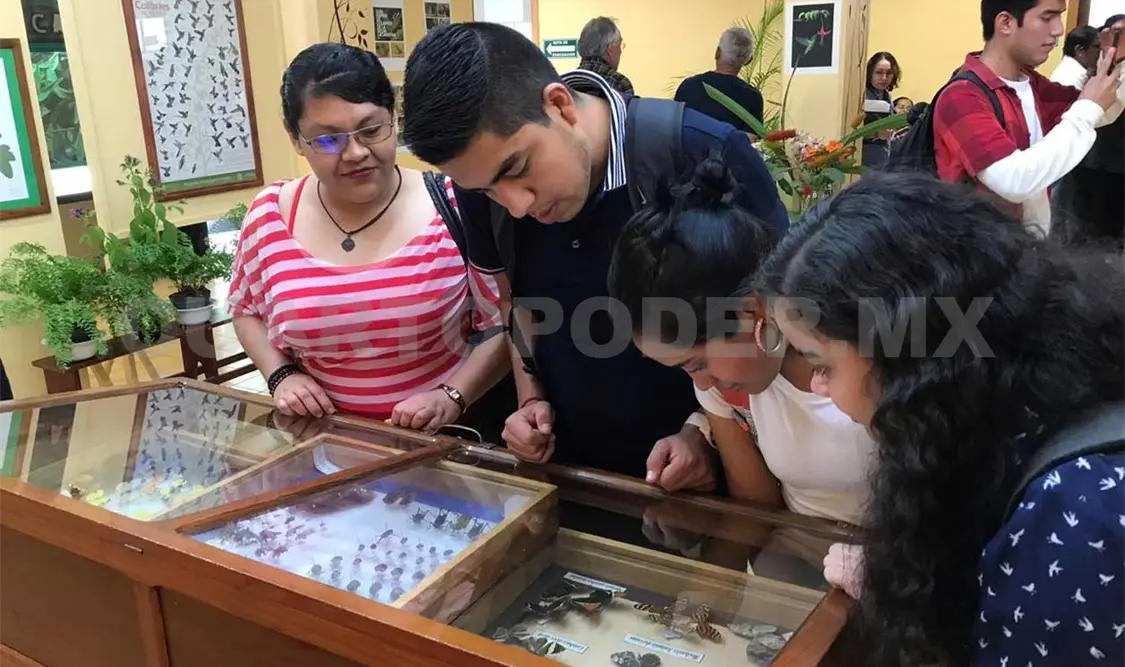 En riesgo más de 270 especies de plantas e insectos