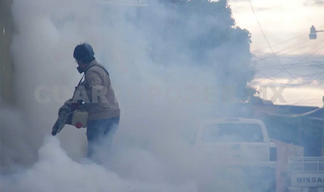 Confirman 85 casos de dengue en Chiapas