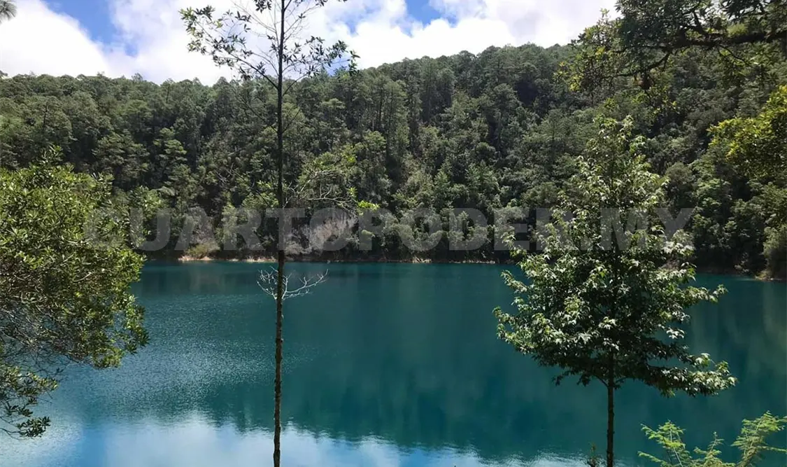Malas prácticas ponen en riesgo a centros ecoturísticos
