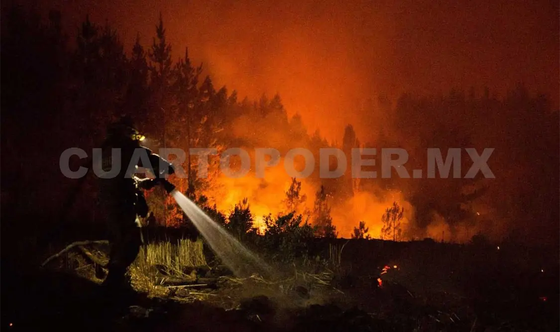 Reportan 40 incendios activos