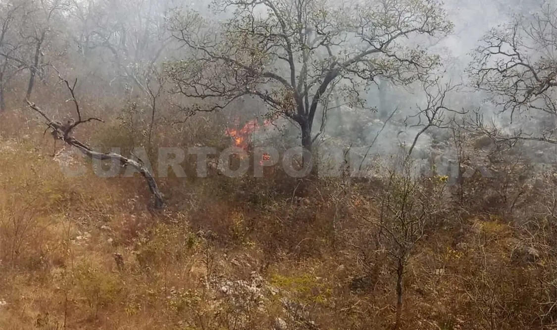 Se suscita incendio cerca del Cañón del Sumidero