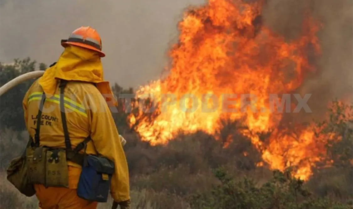 Suman 39 incendios forestales en 2019
