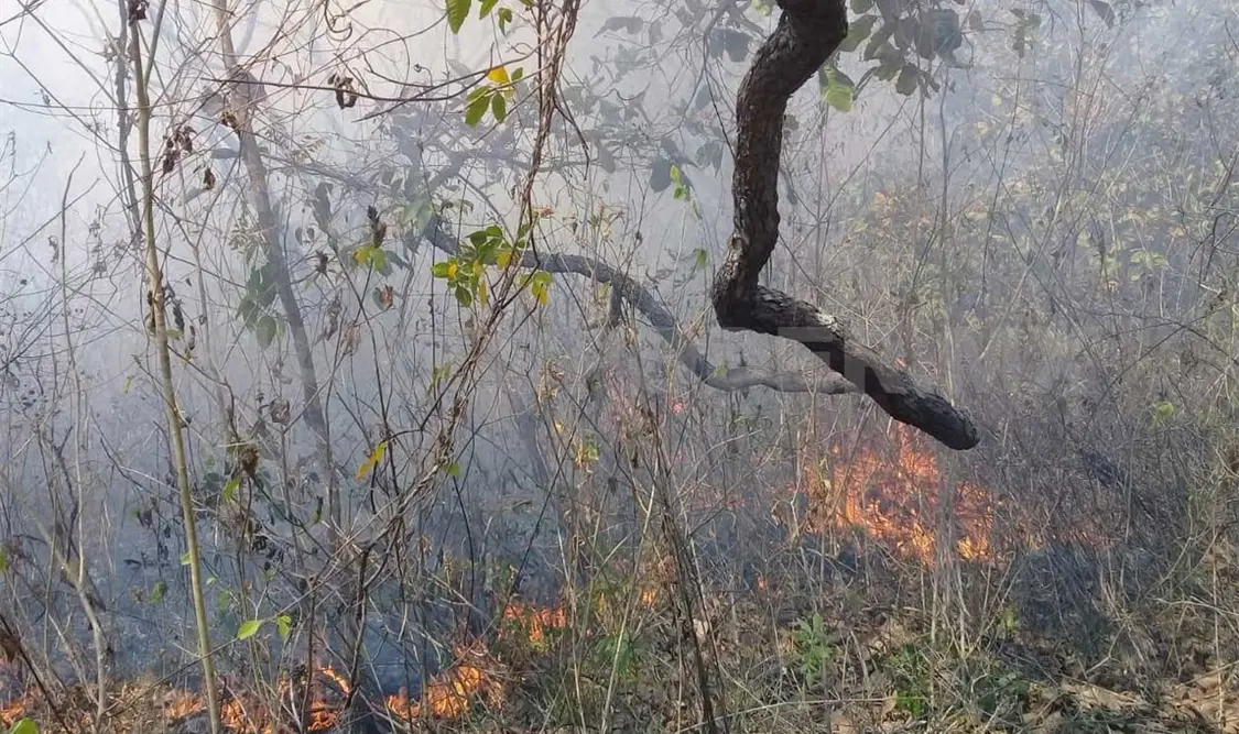 Cumple una semana siniestro en el Cañón del Sumidero