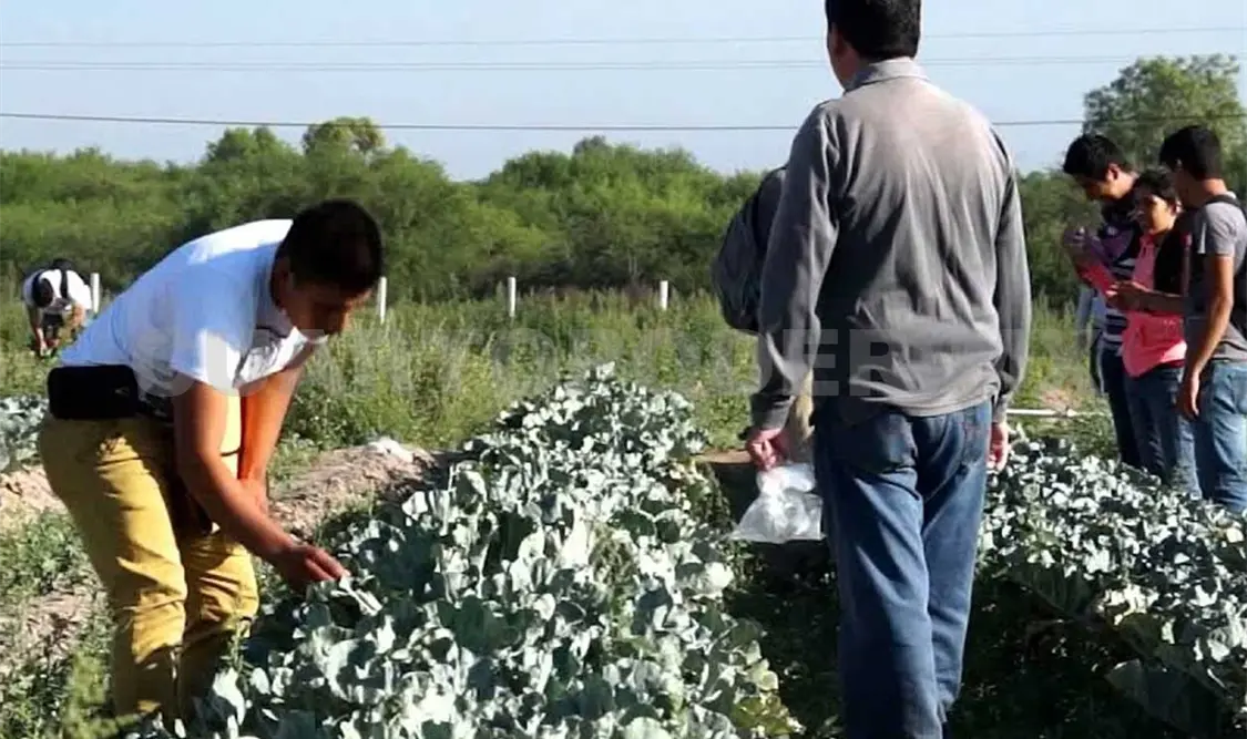 Celebraron a los ingenieros agrónomos. CP