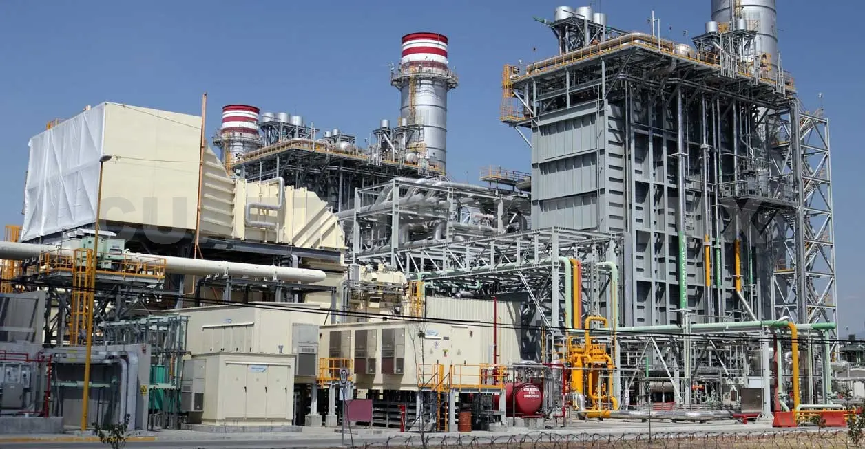 Gobierno respetará decisión por termoeléctrica