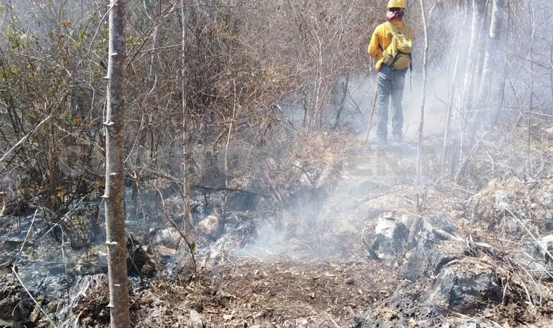 Aumenta a 25 la cifra de incendios en Chiapas