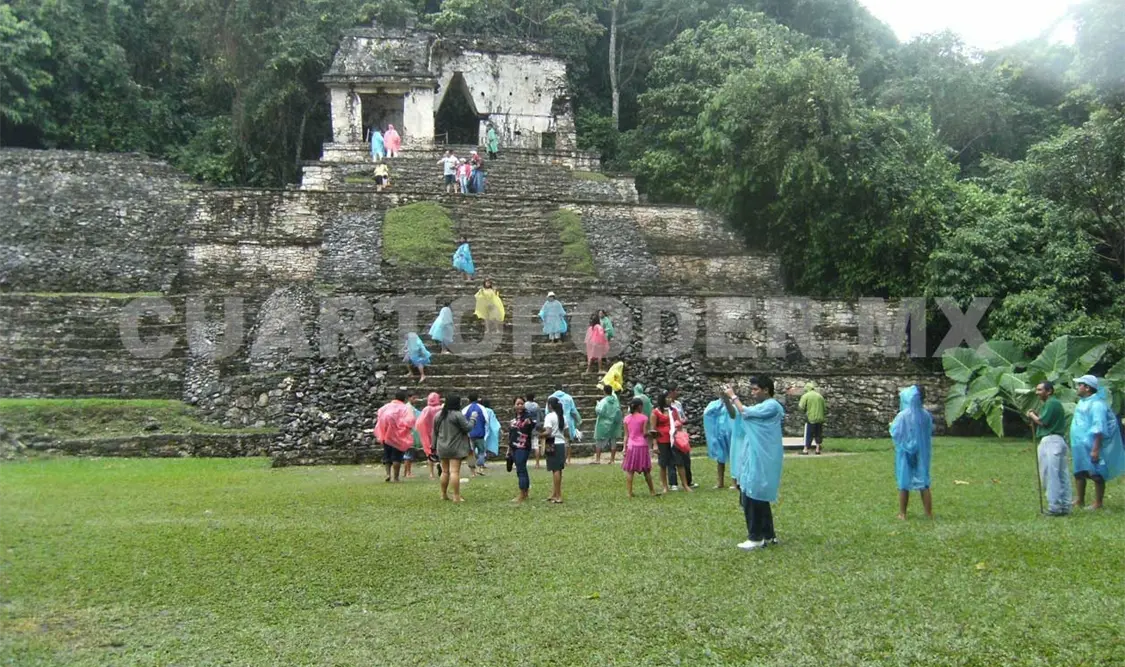 Tren Maya amenazaría área protegida de Palenque