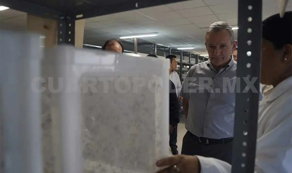 Advierten riesgo de llegada de Fiebre Amarilla
