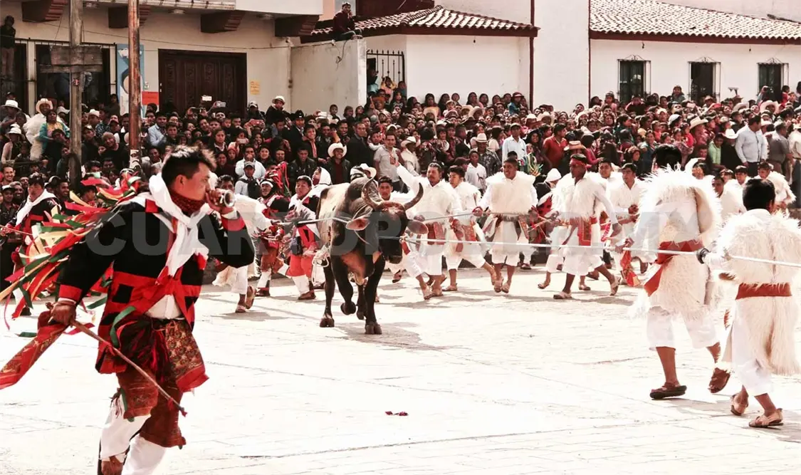 K’in Tajimoltic, eterno resplandor al Creador