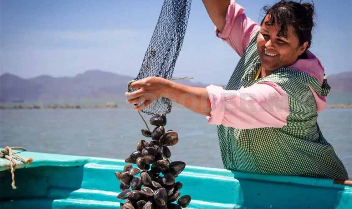 La pesca es el motor de la economía para muchas mujeres en el estado. CP