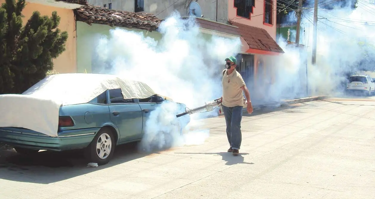 Dengue, muy lejos de erradicarlo en Chiapas