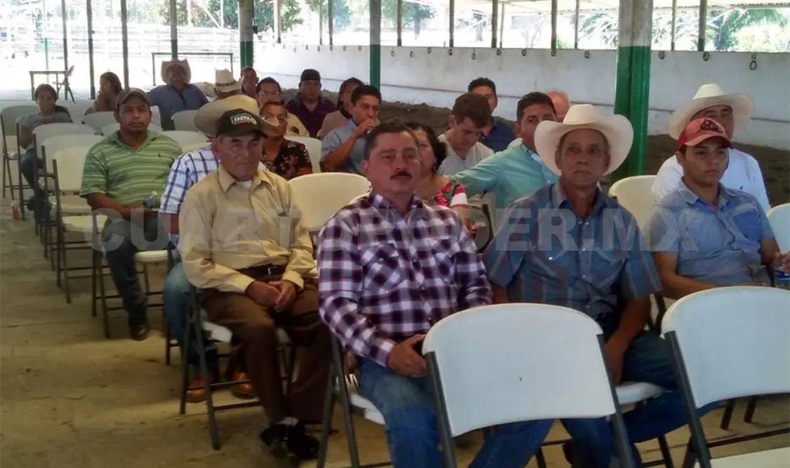 Ganaderos piden apoyo para combatir el abigeato