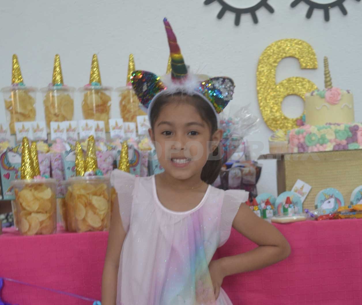 Festejo de unicornios