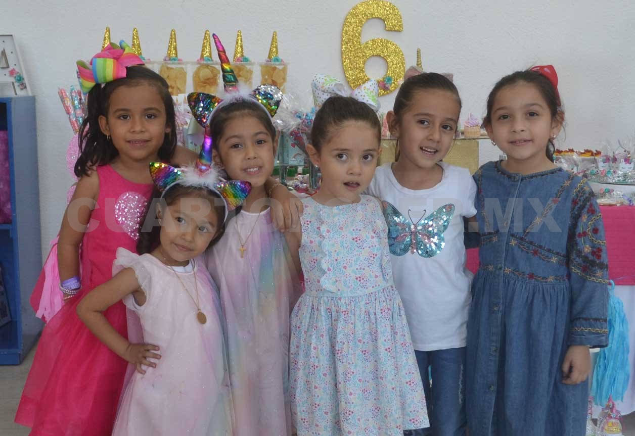 Festejo de unicornios