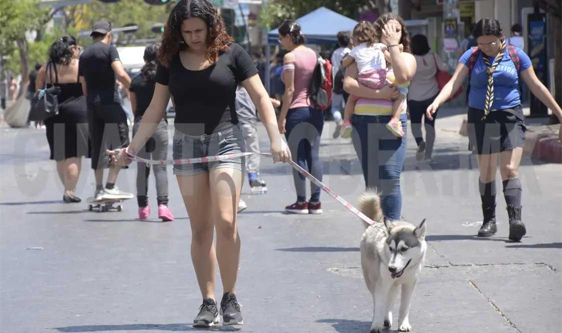 Las asociaciones Manatíes del Grijalva, Huerto Fresco y Tuxtla en Bici fueron la que promovieron esta iniciativa. Guillermo Ramos/CP