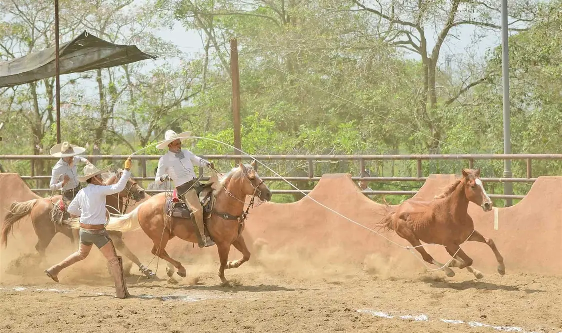 El liderato está en juego en el Fiesta del Sureste