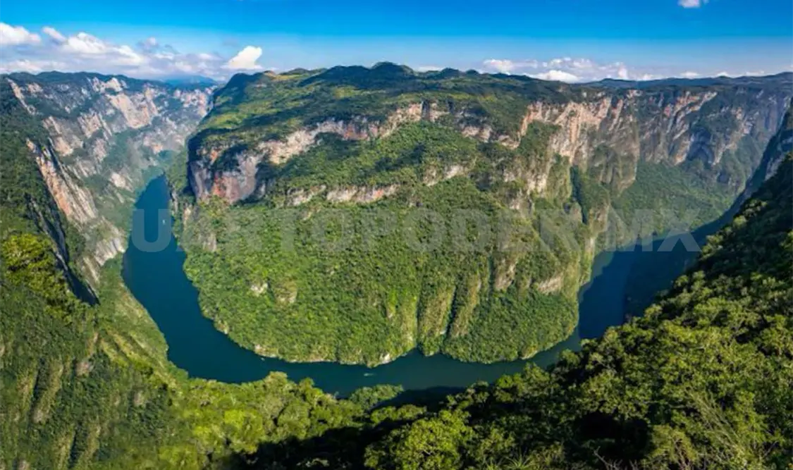 El Parque Nacional tiene en conservación más de 21 mil hectáreas, sin embargo, dicha biodiversidad se ve amenazada por las invasiones. Andrés Domínguez / CP