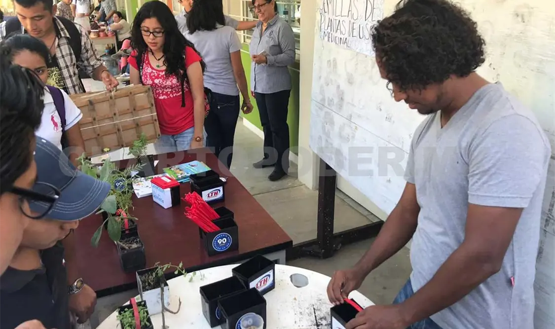 Impulsan la educación ambiental donando plantas