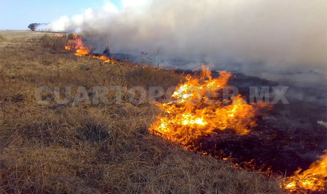 Van 813 hectáreas afectadas por incendios