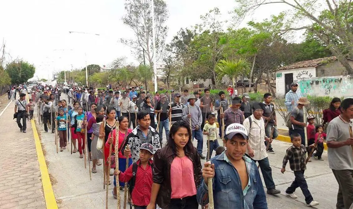 Exhortan a la población a no caer en pánico